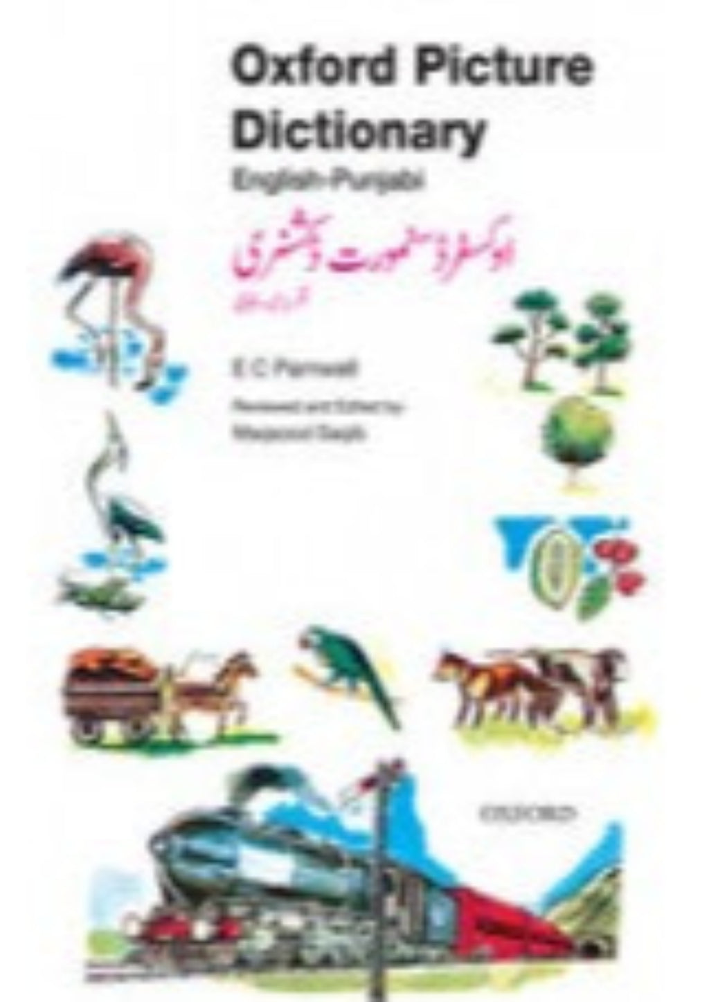 Oxford Picture Dictionary English-Punjabi